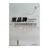 双品牌 :大型汽车服务集团发展之路9787560748405山东大学出版社