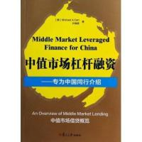 中值市场杠杆融资:专为中国同行介绍9787309103038复旦大学出版社