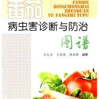 番茄病虫害诊断与防治图谱9787508287577金盾出版社