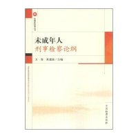 未成年人刑事检察论纲9787510210570中国检察出版社