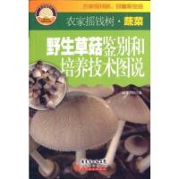 野生草菇鉴别和培养技术图说9787535958761广东科技出版社