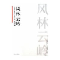 赖铁骢:风林云岭9787539835099安徽美术出版社