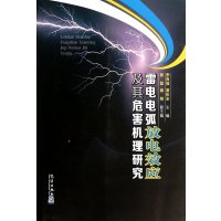 雷电电弧放电效应及其危害机理研究9787502958992气象出版社