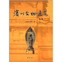 滨州文物通览9787533330507齐鲁书社