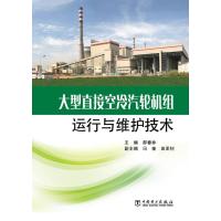 大型直接空冷汽轮机组运行与维护技术9787512356269中国电力出版社