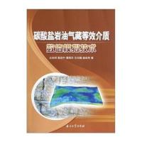 碳酸盐岩油气藏等效介质数值模拟技术9787502191207石油工业出版社