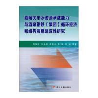 嘉峪关市水资源承载能力与酒泉钢铁(集团)循环经济和结构调整适应*研究9787550906860黄河水利出版社