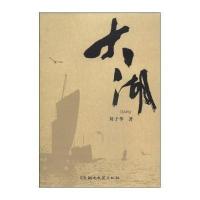 大湖9787540466879湖南文艺出版社