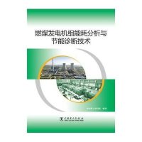 燃煤发电机组能耗分析与节能诊断技术9787512363922中国电力出版社