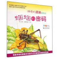 蝈蝈的密码9787533173104山东科学技术出版社