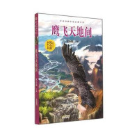 鹰飞天地间9787539775012安徽少年儿童出版社