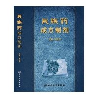 民族药成方制剂9787117194853人民卫生出版社