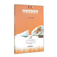 暗物质穿越者(3)(穿越宇宙隧道)9787514818802中国少年儿童出版社