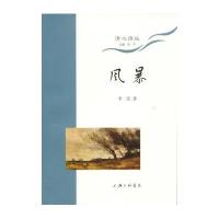 风暴9787542647863上海三联书店