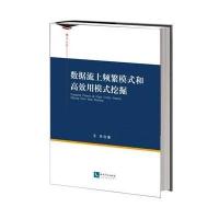 数据流上频繁模式和高效用模式挖掘9787513029827知识产权出版社