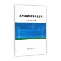 脉冲液体射流泵 能研究9787517027942中国水利水电出版社