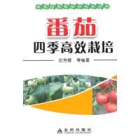 番茄*季高效栽培9787508295039金盾出版社