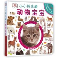 DK小小捉迷藏(动物宝宝)9787500094357中国大百科全书出版社