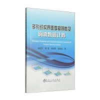 多形织构界面摩擦特*及润滑数值计算9787502468217冶金工业出版社