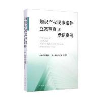 知识产民事案件立案审查与示范案例9787510910838****出版社