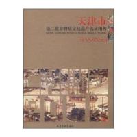 天津市D二批非物质文化遗产名录图典9787807387626天津杨柳青出版社