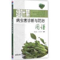 绿叶菜病虫害诊断与防治图谱9787508287546金盾出版社