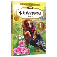 小*鸡与*妈妈9787539778655安徽少年儿童出版社