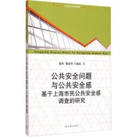 公共安全问题与公共安全感:基于上海市民公共安全感调查的研究9787542649713上海三联书店