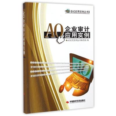 AO企业审计应用实例9787511915818中国时代经济出版社