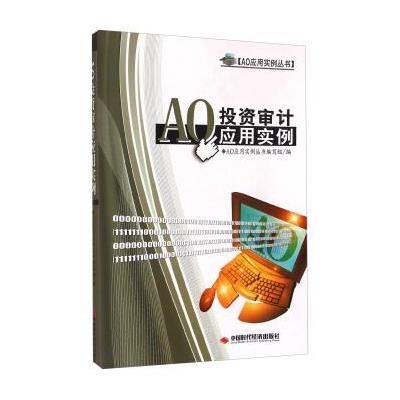 AO投资审计应用实例9787511915795中国时代经济出版社