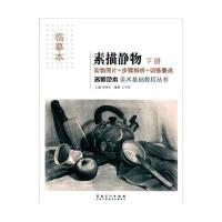 名师范本(临摹本)(素描静物·下册)9787539861371安徽美术出版社