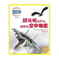 战斗机为什么被称为空中雄鹰（美绘注音版）9787553628127浙江教育出版社