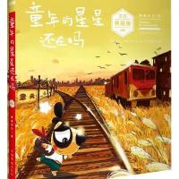 童年的星星还在吗(刀刀典藏版)9787511354044中国华侨出版社