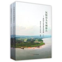 沅陵窑头发掘报告--战国至汉代城址及墓葬(上下)(精)9787501041206文物出版社