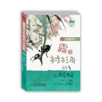露着衬衫角的小蚂蚁（典藏版）9787514825220中国少年儿童出版社