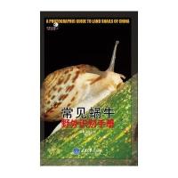 常见蜗牛野外识别手册9787562490401重庆大学出版社