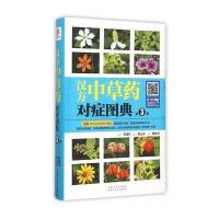 汉方*草*对症图典(D3册)9787537262545新疆人民卫生出版社