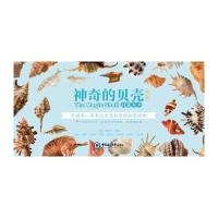 神奇的贝壳 启蒙大卡 D1辑9787567008304中国海洋大学出版社