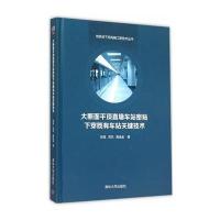 大断面平顶直墙车站密贴下穿既有车站关键技术9787302353881清华大学出版社