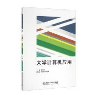 大学计算机应用/王苹9787302415015清华大学出版社