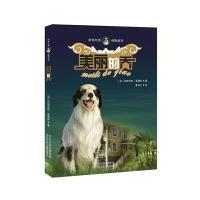 美丽的乔9787537675031河北少年儿童出版社