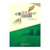 小麦玉米抗逆高产栽培技术9787511620071中国农业科学技术出版社
