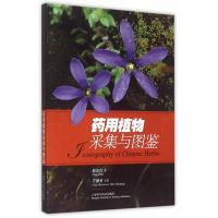 药用植物采集与图鉴9787547826010上海科学技术出版社