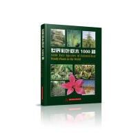 世界彩叶树木1000种9787568013390华中科技大学出版社