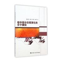 硅中部分位错演化的分子模拟9787566109392哈尔滨工程大学出版社