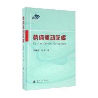 载体驱动陀螺9787118101898国防工业出版社