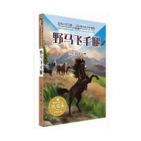 动物小说王国.沈石溪自 中外精品?野马飞毛腿9787556218486湖南少年儿童出版社