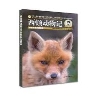 西顿动物记(学生美图版)(斯普林菲尔德狐狸)9787538596717北方妇女儿童出版社