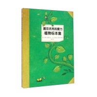 童话植物标本系列?魔豆杰克的魔力植物标本集9787532946013山东文艺出版社