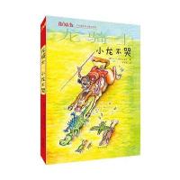龙骑士(小龙不哭)9787548821564济南出版社